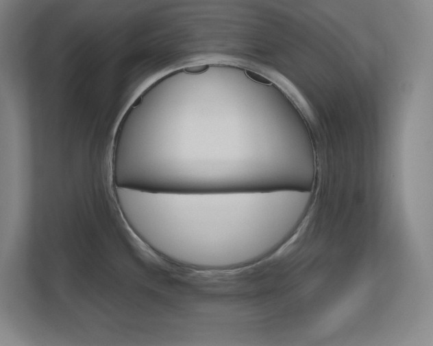 X0000110911244200906181000