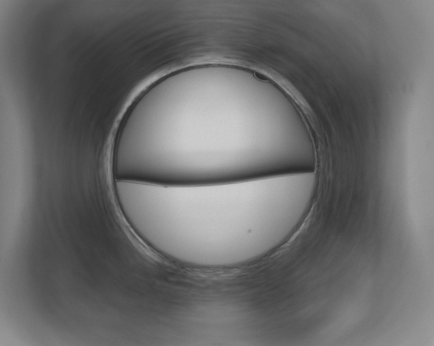 X0000110911246200906181000