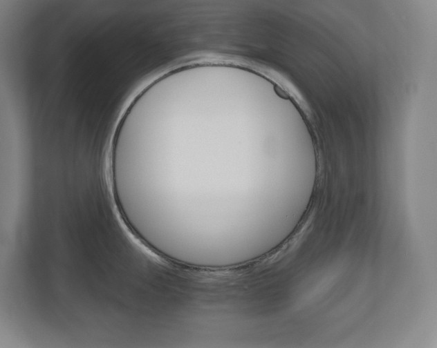 X0000110911247200906181000