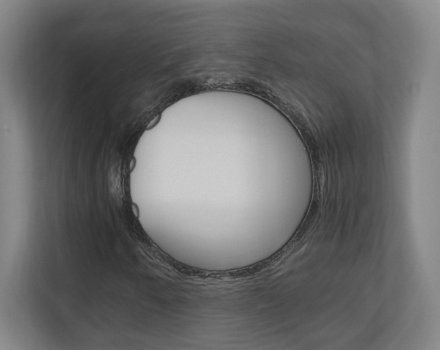 X0000110911250200906180959