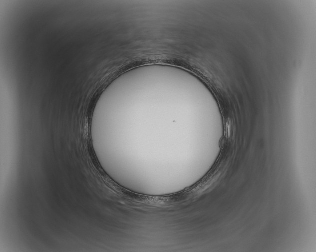 X0000110911251200906180959