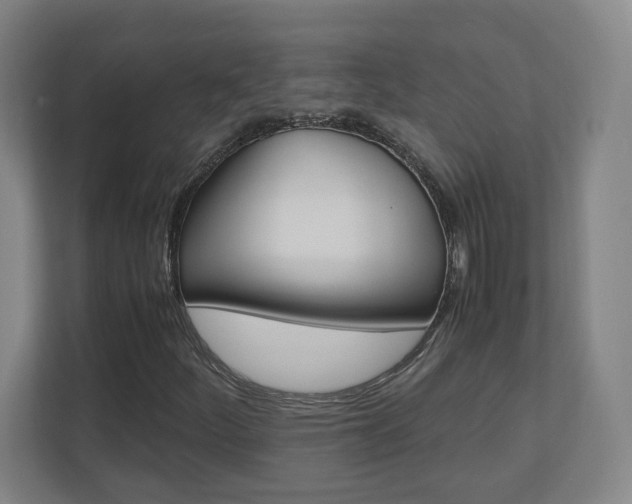 X0000110911252200906180959