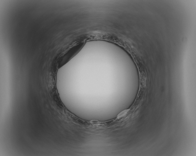 X0000110911253200906180959