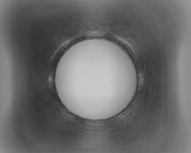 X0000110911254200906180959