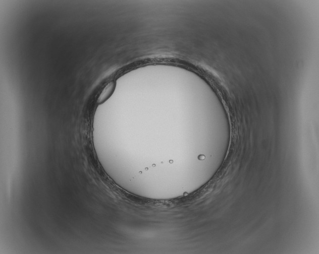 X0000110911255200906180959