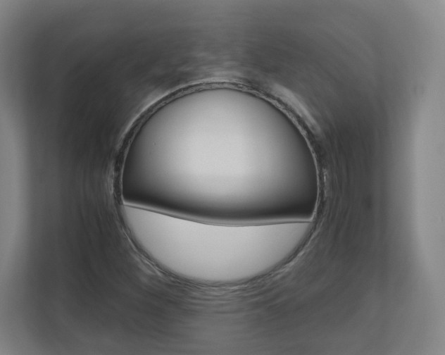X0000110911260200906180959