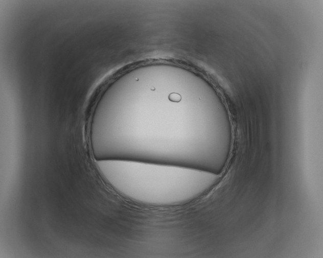 X0000110911262200906180959