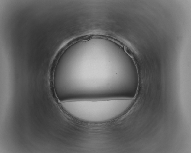 X0000110911264200906180959