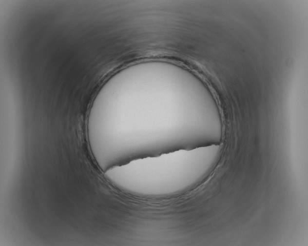 X0000110911265200906180959