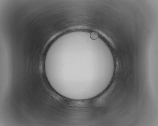 X0000110911266200906180959