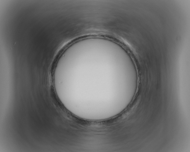 X0000110911267200906180959