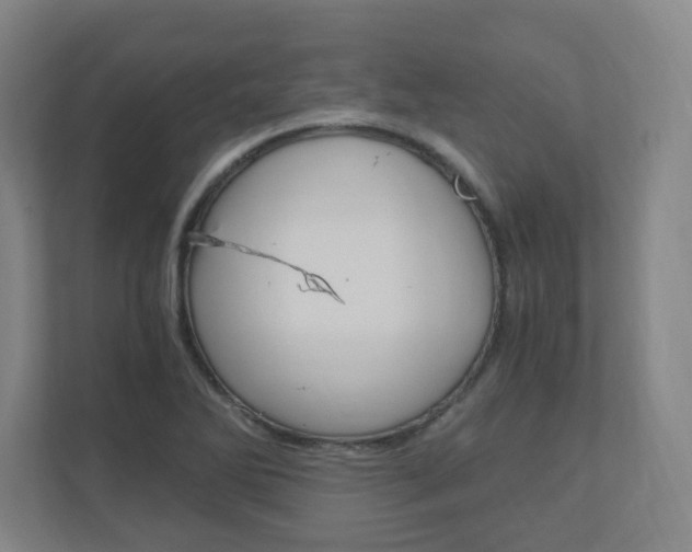 X0000110911270200906180959