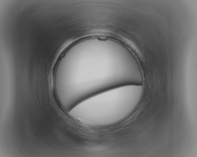 X0000110911275200906180959