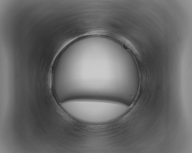 X0000110911276200906180959
