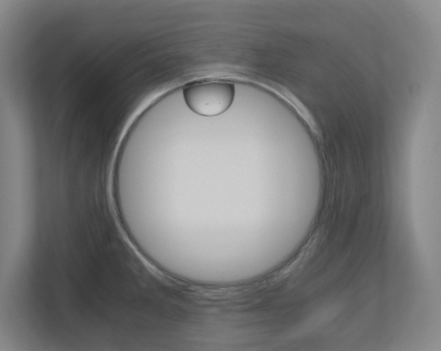 X0000110911285200906180958