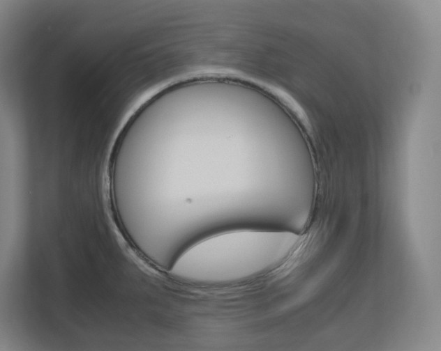 X0000110911287200906180958