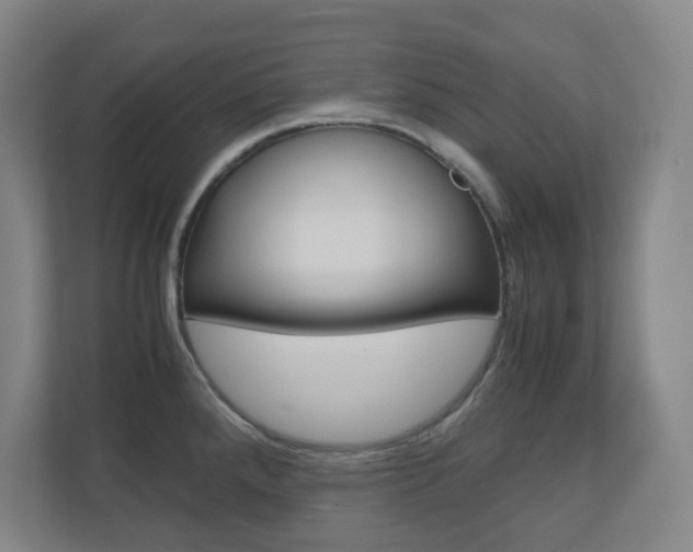 X0000110911288200906180958