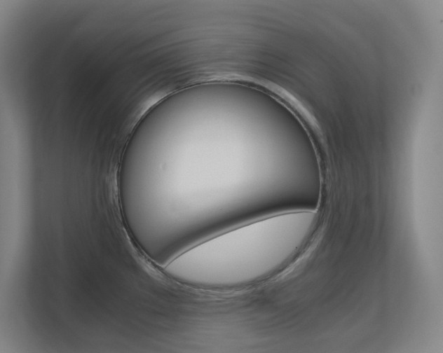 X0000110911289200906180958