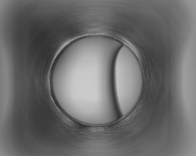 X0000110911291200906180958