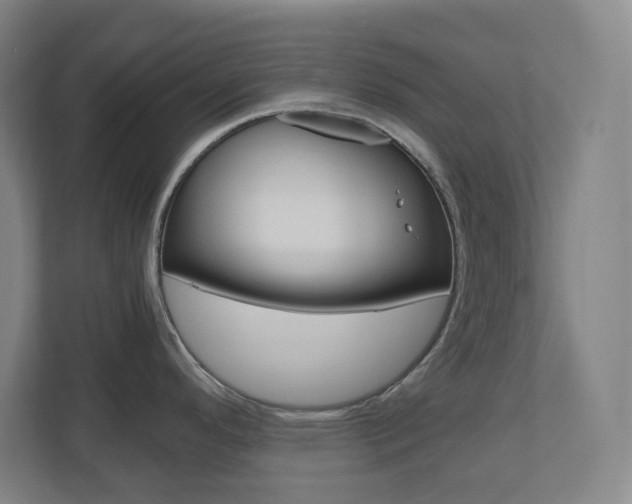 X0000110911296200906180958