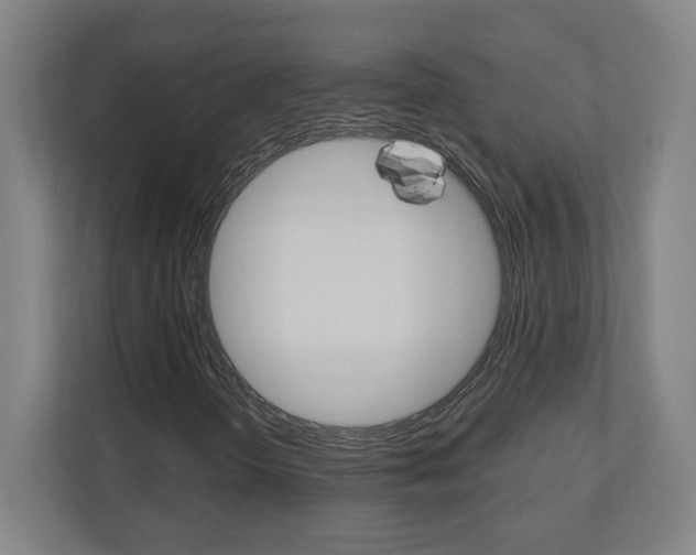 X0000110911298200906180958