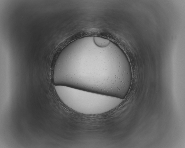 X0000110911301200906180958