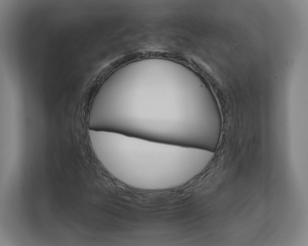 X0000110911303200906180958