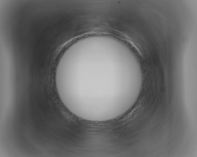 X0000110911304200906180958