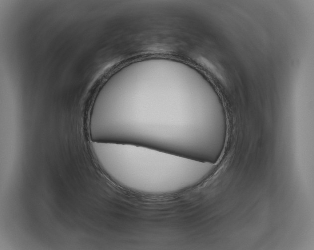 X0000110911307200906180958