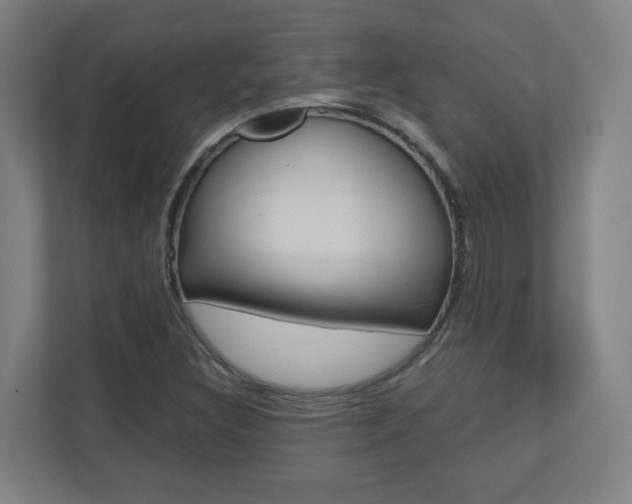 X0000110911308200906180958
