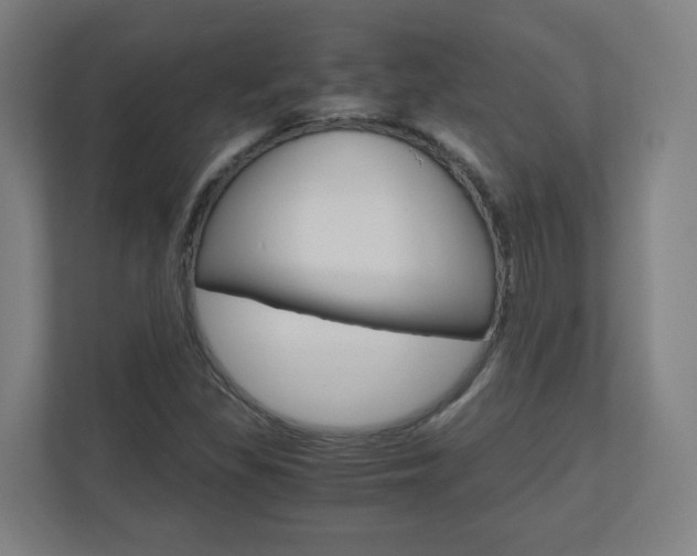 X0000110911309200906180958