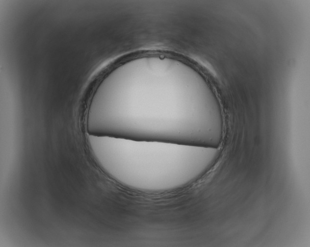 X0000110911311200906180958