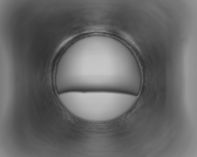 X0000110911312200906180958