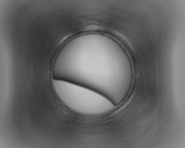 X0000110911313200906180958