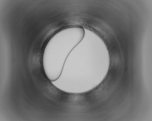 X0000110911314200906180958