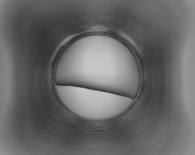 X0000110911315200906180958