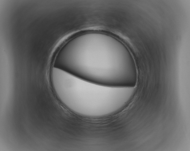 X0000110911319200906180958