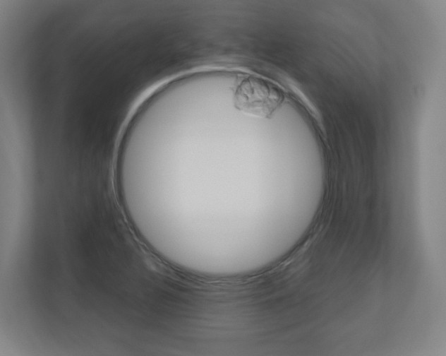X0000110911320200906180958