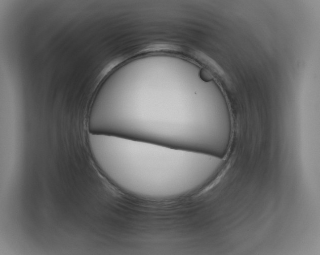 X0000110911321200906180958