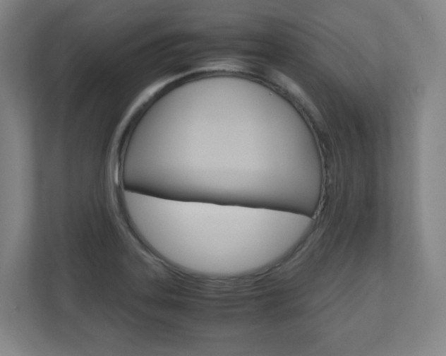 X0000110911323200906180958