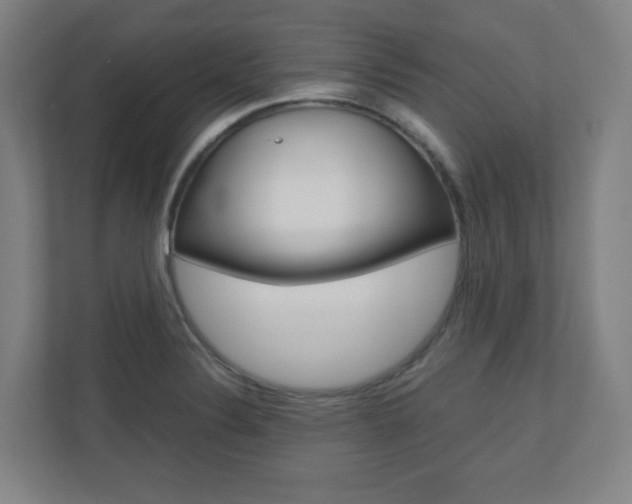 X0000110911324200906180958