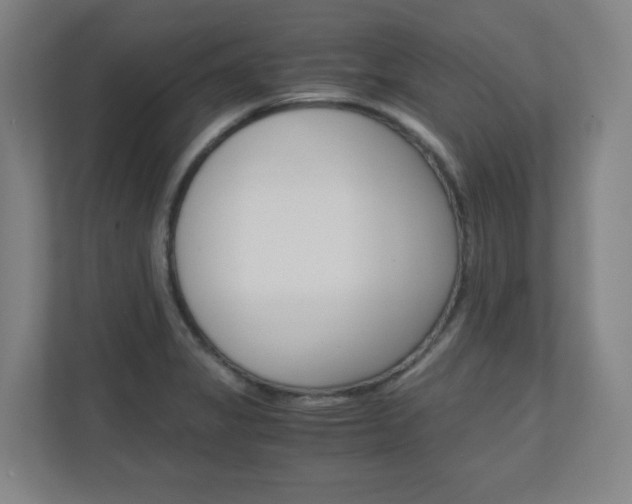 X0000110911325200906180958
