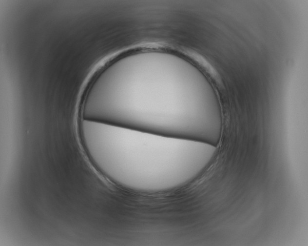 X0000110911327200906180958
