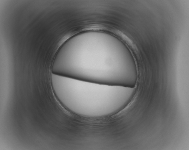 X0000110911329200906180958