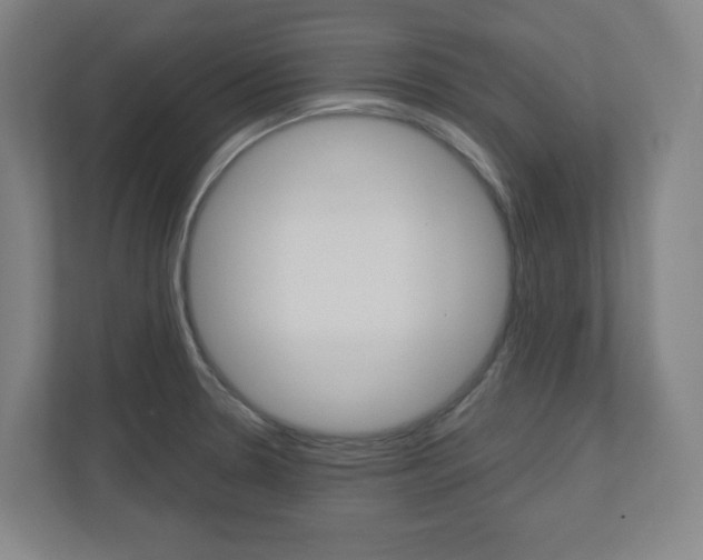 X0000110911330200906180958