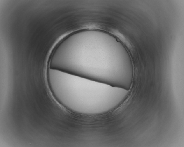 X0000110911331200906180958