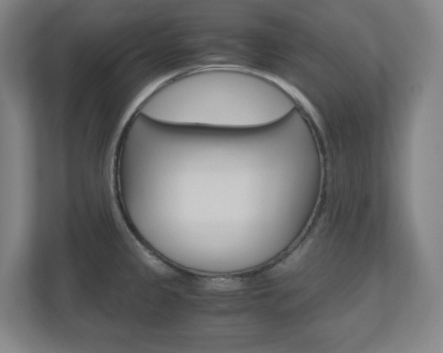X0000110911333200906180958