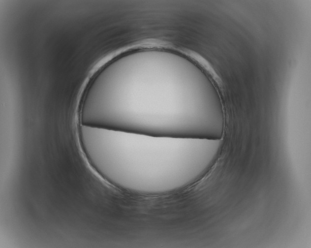 X0000110911335200906180958