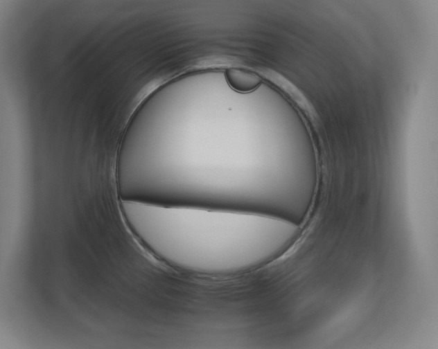 X0000110911337200906180958