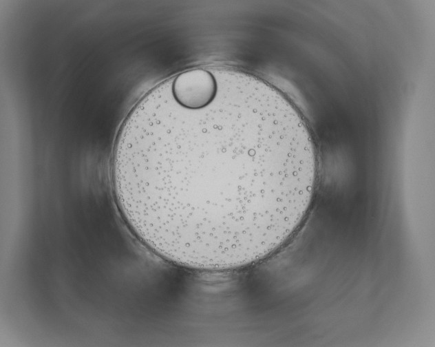 X0000110911338200906180958